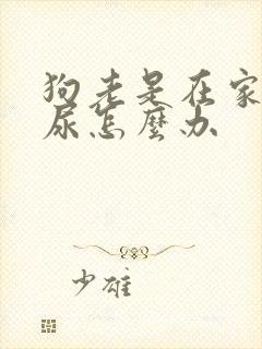 狗老是在家里乱尿怎么办