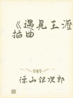 《遇见王沥川》插曲