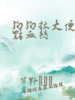 狗狗拉大便带一点血丝