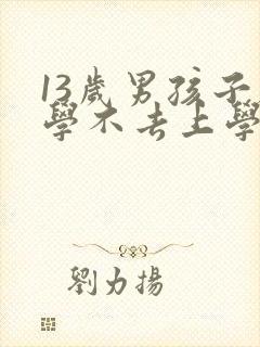 13岁男孩子厌学不去上学怎么办