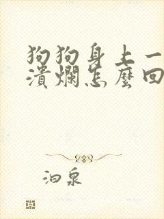 狗狗身上一块块溃烂怎么回事