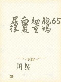 尿白细胞65是很严重吗