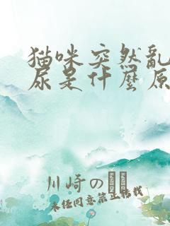 猫咪突然乱拉乱尿是什么原因引起的