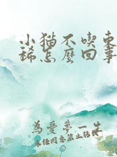 小猫不吃东西拉稀怎么回事