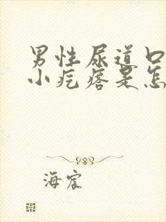 男性尿道口长了小疙瘩是怎么回事