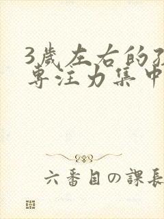 3岁左右的孩子专注力集中的时间