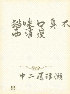 猫咪口臭不吃东西消瘦