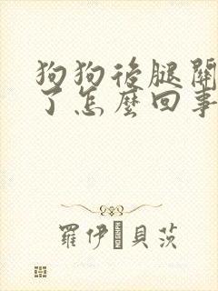 狗狗后腿关节肿了怎么回事