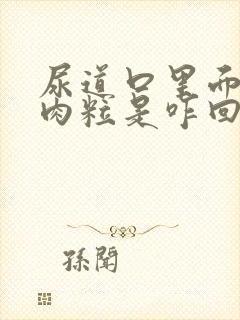 尿道口里面有小肉粒是咋回事