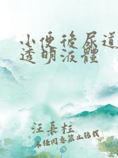 小便后尿道口有透明液体