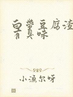 白带豆腐渣状还有臭味