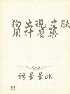 狗出现皮肤溃烂用什么药