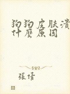 狗狗皮肤溃烂是什么原因