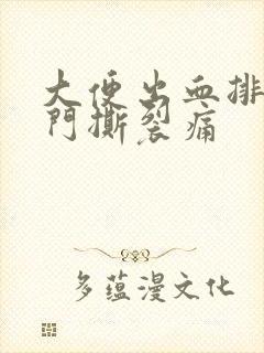 大便出血排便肛门撕裂痛