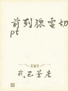 前列腺电切术ppt