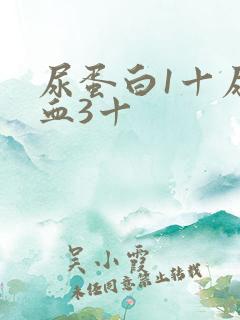 尿蛋白1十尿隐血3十