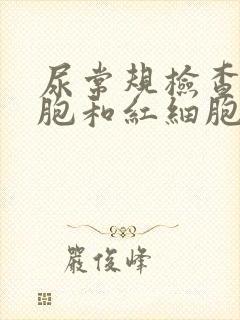 尿常规检查红细胞和红细胞计数高怎么回事