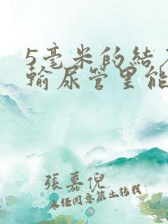 5毫米的结石在输尿管里能排出来吗