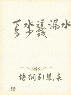 下水道漏水维修多少钱