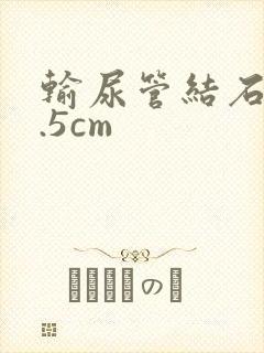 输尿管结石 0.5cm