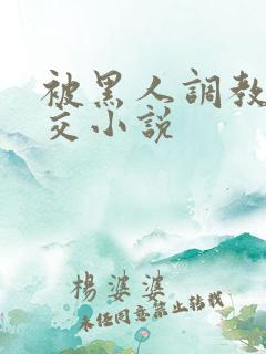 被黑人调教拳头交小说