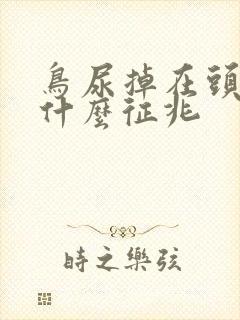 鸟尿掉在头发是什么征兆