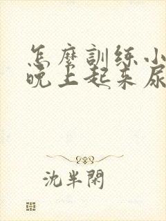 怎么训练小孩子晚上起来尿