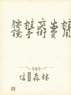 腰椎突出椎间孔镜手术费用