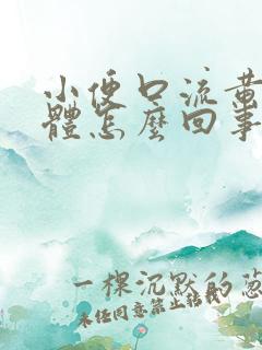 小便口流黄色液体怎么回事