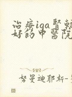 治疗iga肾较好的中医院