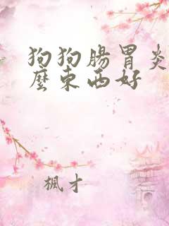 狗狗肠胃炎吃什么东西好