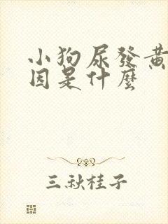 小狗尿发黄的原因是什么