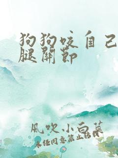 狗狗咬自己的前腿关节