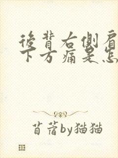 后背右侧肩胛骨下方痛是怎么回事