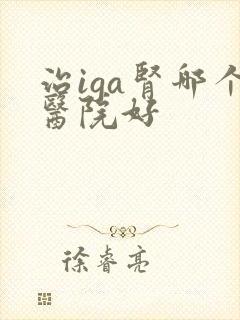 治iga肾哪个医院好