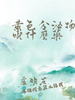 黄色分泌物瘙痒吃什么药