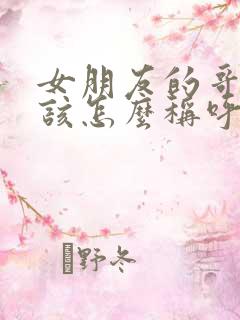 女朋友的哥哥应该怎么称呼