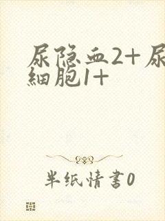 尿隐血2+尿白细胞1+