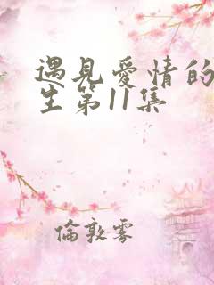 遇见爱情的利先生第11集