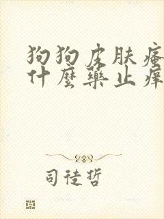 狗狗皮肤瘙痒用什么药止痒效果最好