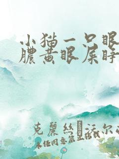 小猫一只眼睛有脓黄眼屎睁不开