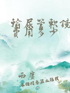 输尿管软镜碎石费用多少