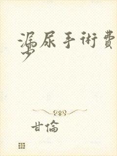 漏尿手术费用多少