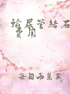 输尿管结石软镜 费用