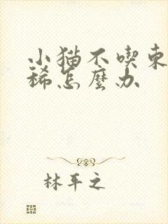 小猫不吃东西拉稀怎么办