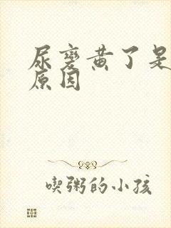 尿变黄了是什么原因