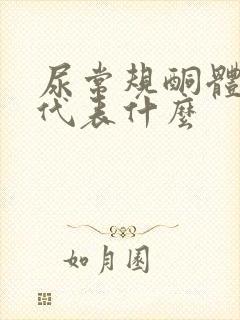 尿常规酮体1+代表什么