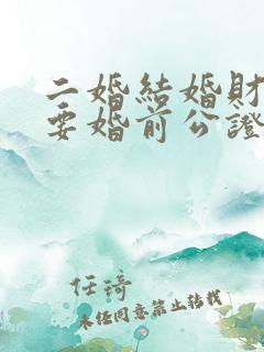 二婚结婚财产需要婚前公证吗