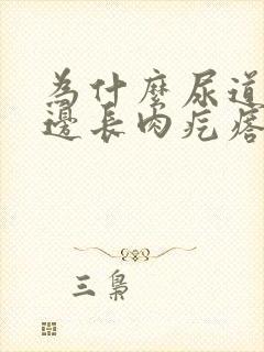 为什么尿道口旁边长肉疙瘩