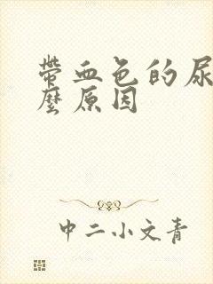 带血色的尿是什么原因